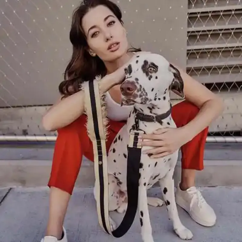 The City Leash Fur