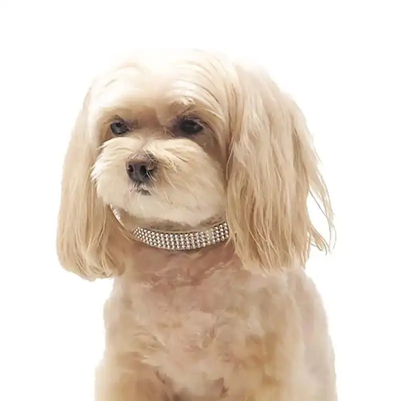4 Row Crystal Giltmore Pet Collar