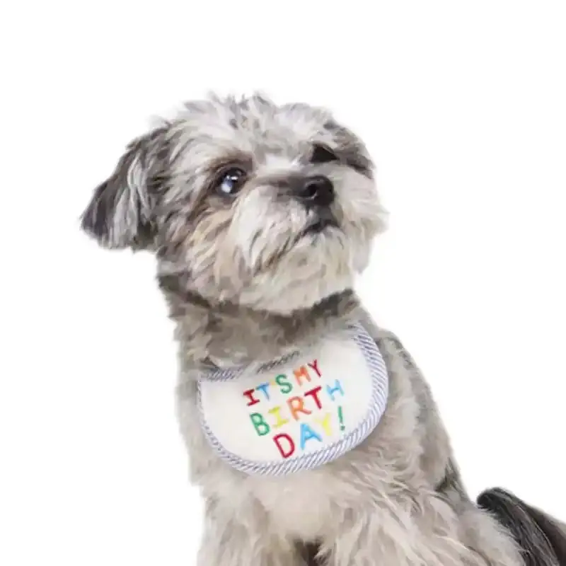 Birthday Bib for Cats / Dogs