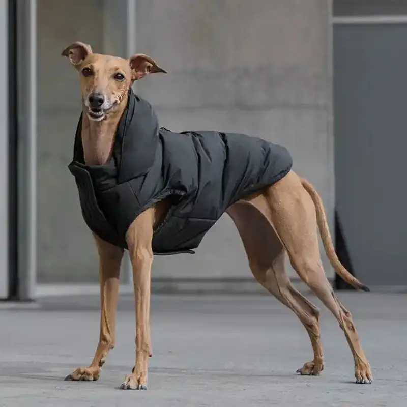 Waterproof Dog Puffer Jacket