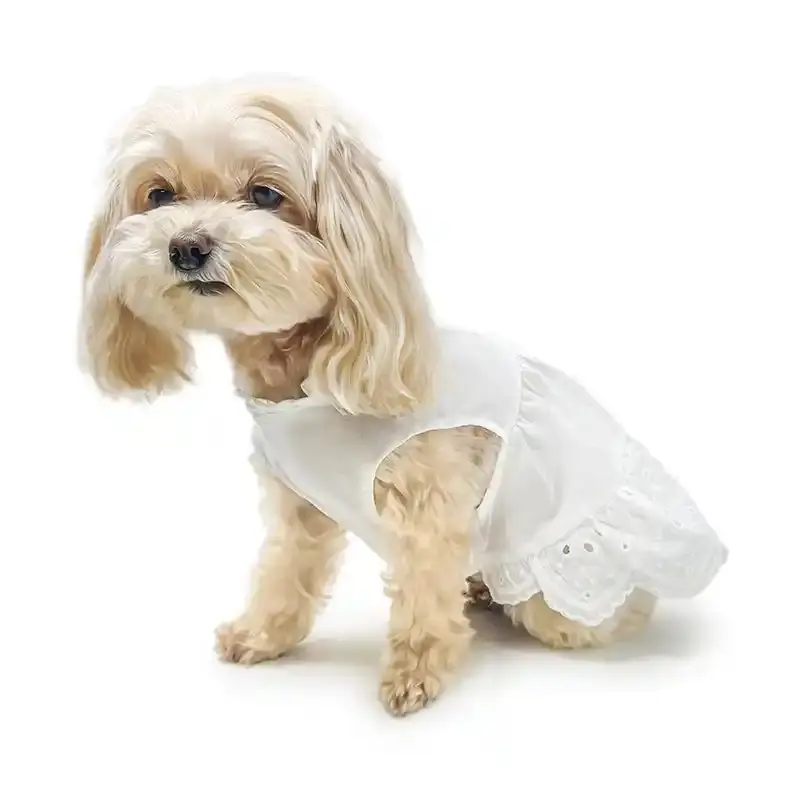 Tiered Eyelet Dog Dress with Cooling Effect