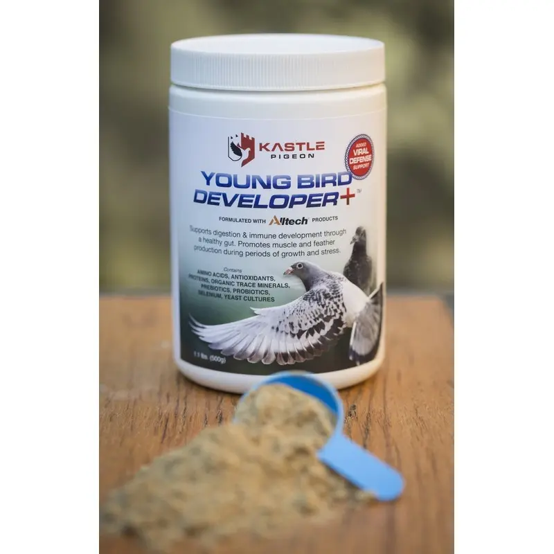 Young Bird Developer+ (Kastle)