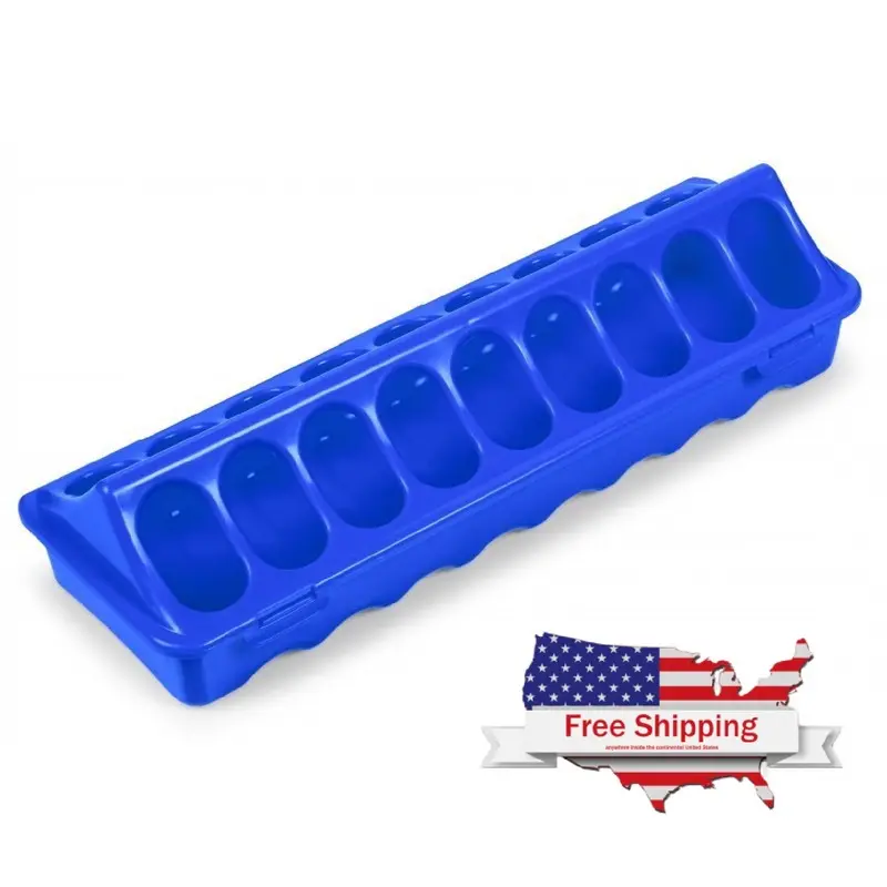 Blue Plastic Feeder for Chicks 12" (Copele) Chick Feed Trough
