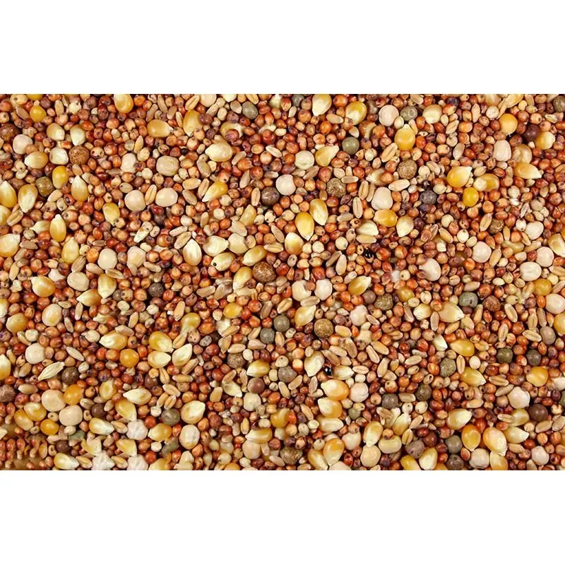 12% Pigeon Feed