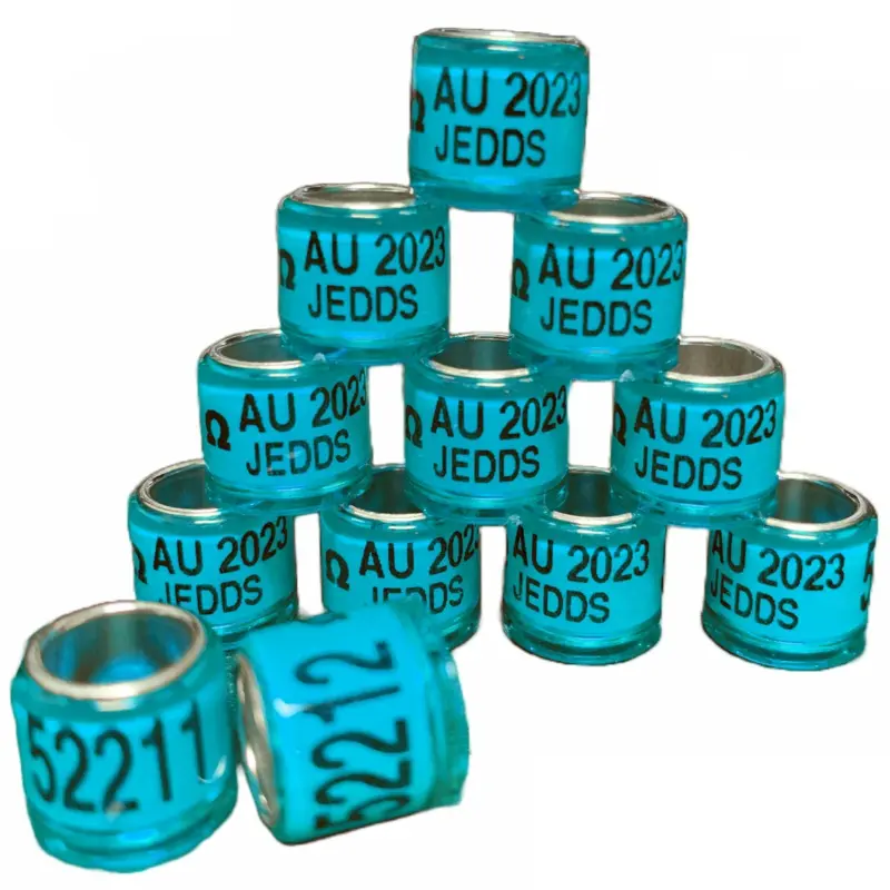 2025 SEAMLESS A.U. BANDS