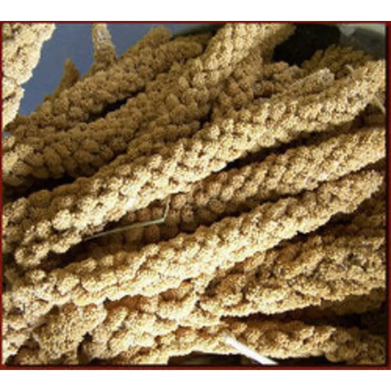 Spray Millet (Leach Grain & Milling) Premium Millet Spray for Birds