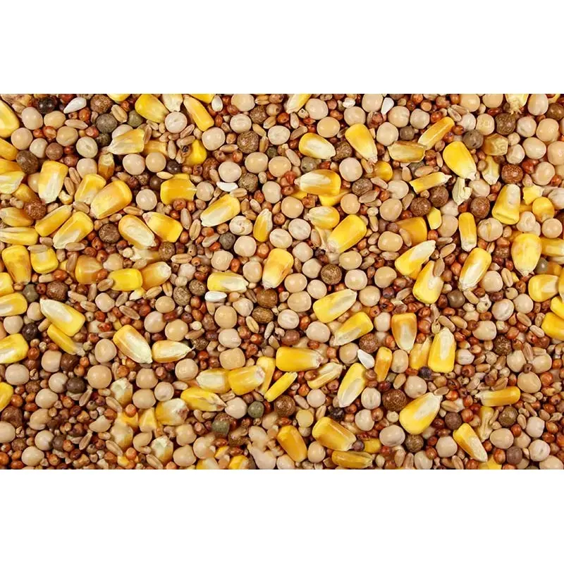 14% Special Feed with Whole Corn
