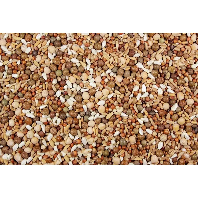 16% Low Carb Pigeon Feed (Leach Grain & Milling) No Corn Pigeon Feed Mix