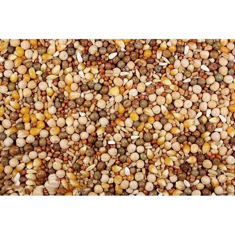 16% Royal Race (Leach Grain & Milling) Premium Racing Pigeon Feed