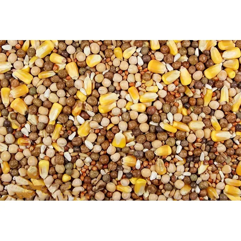 Super Race 17% (Leach Grain & Milling) Premium Racing Pigeon Feed