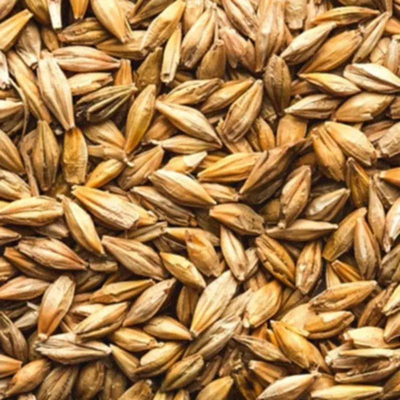 Barley (Leach Grain & Milling) Quality Barley Animal Feed