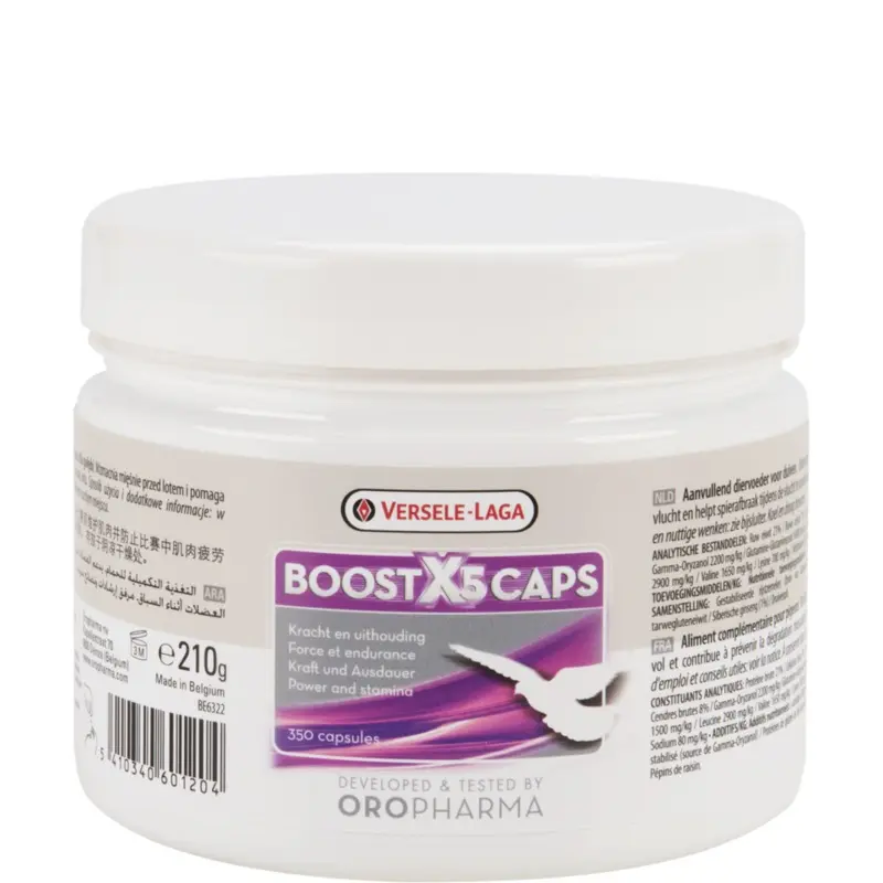 Boost X5 Caps (Versele-Laga) Racing Pigeons Energy Mix with Ginseng