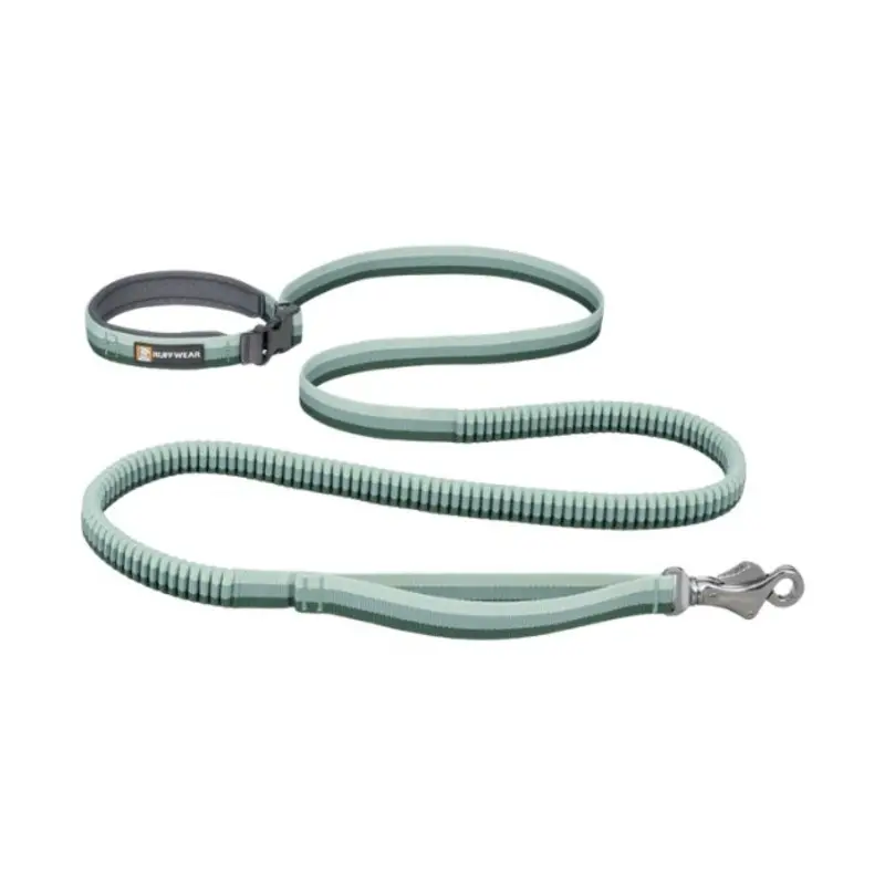 Ruffwear Roamer Multi-Use Bungee Dog Leash (River Rock Green)