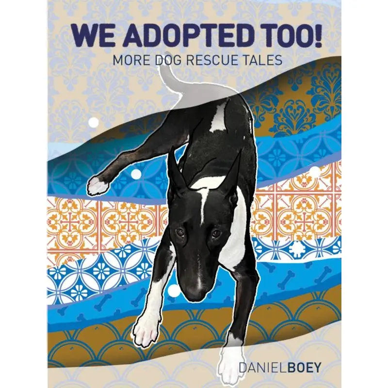 We Adopted Too! Book by Daniel Boey