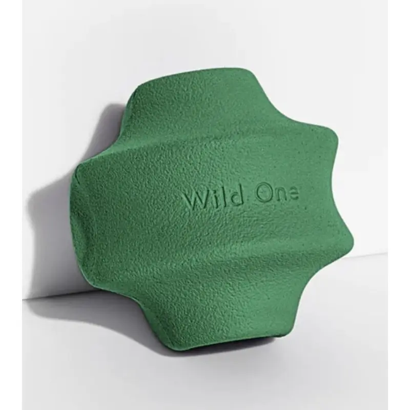 Wild One Twist Toss Dog Chew Toy (Spruce)