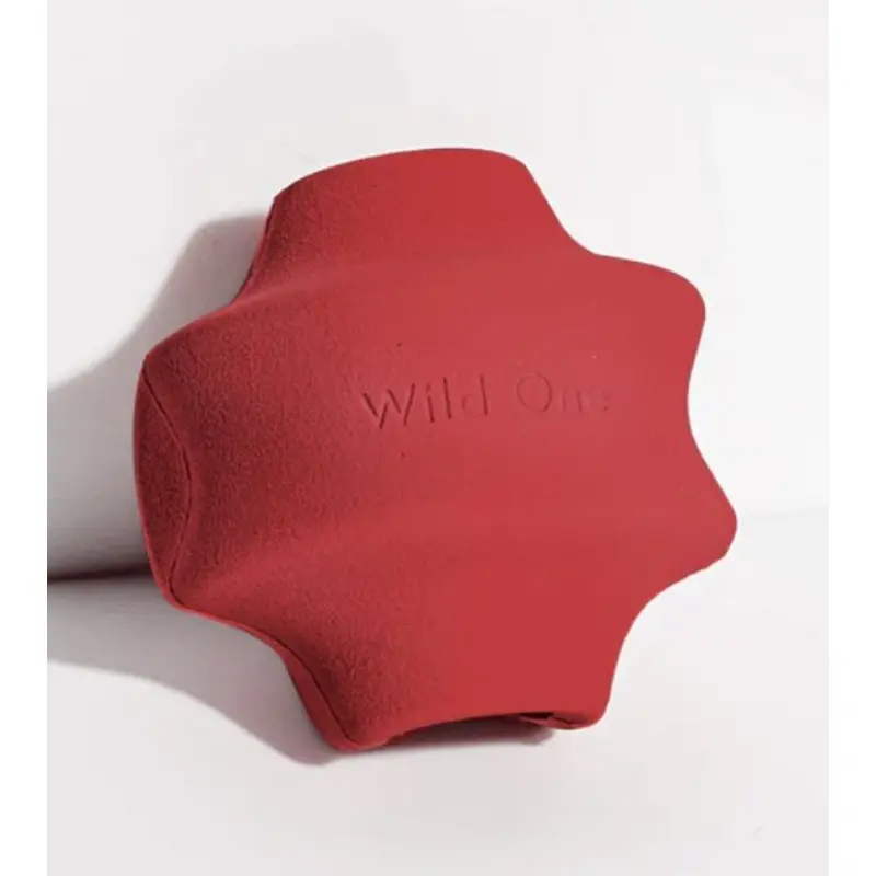 Wild One Twist Toss Dog Chew Toy (Strawberry)