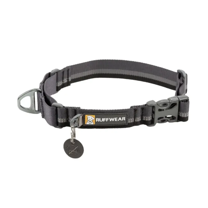 Ruffwear Web Reaction Reflective Buckled Martingale Dog Collar (Basalt Gray)