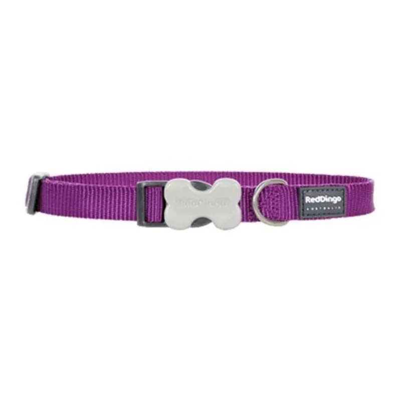 Red Dingo Classic Dog Collar (Purple)