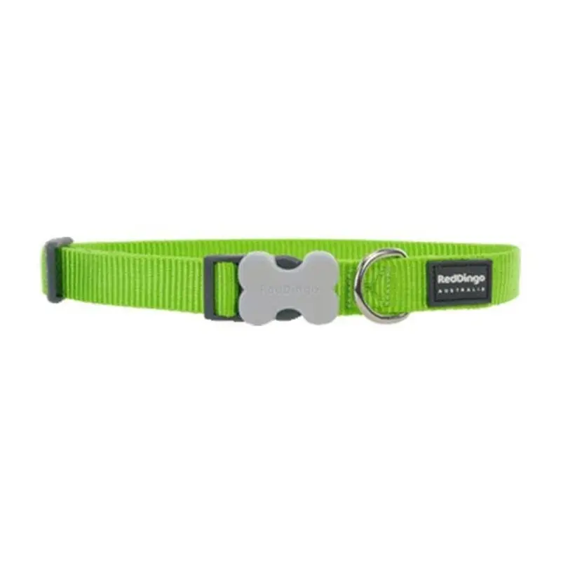Red Dingo Classic Dog Collar (Lime Green)