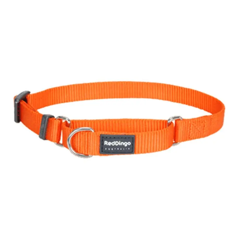 Red Dingo Martingale Choke Prevention Dog Collar (Orange)