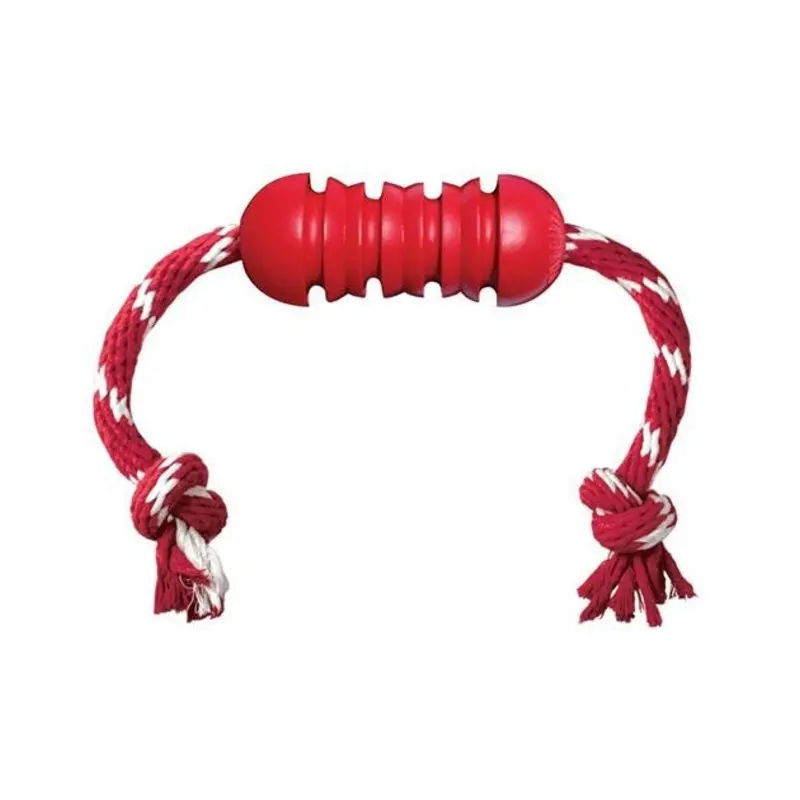 Kong Dental With Rope Dog Toy