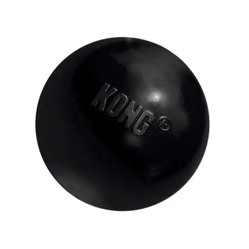 Kong Extreme Ball Dog Toy
