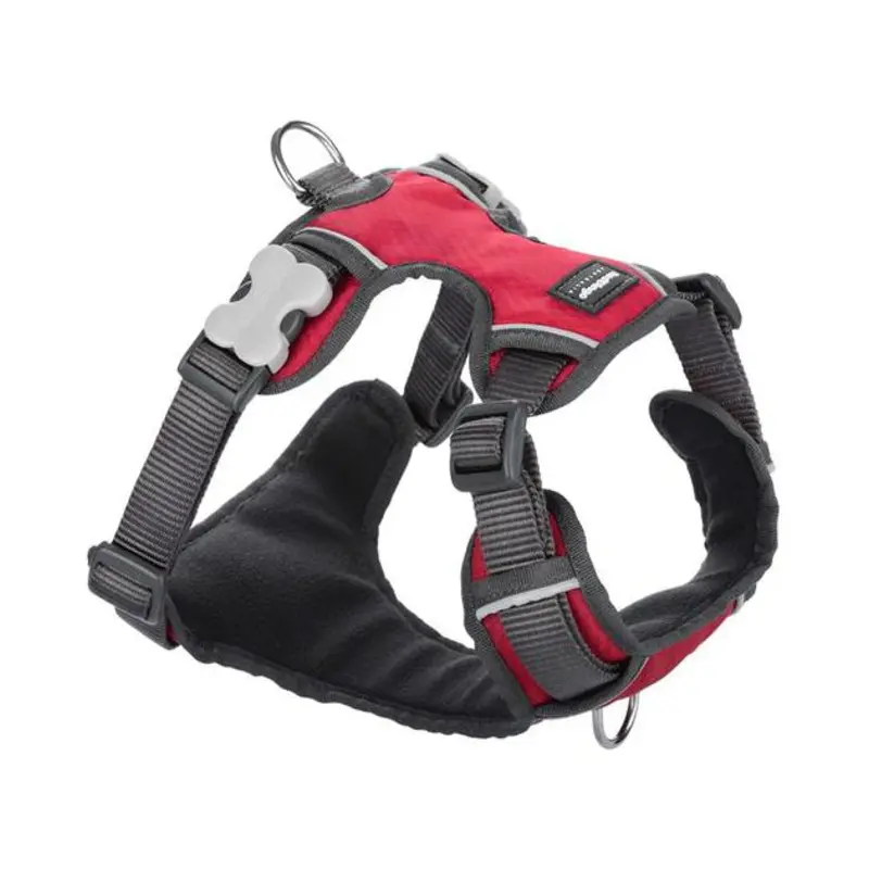 Red Dingo Padded Dog Harness (Red)