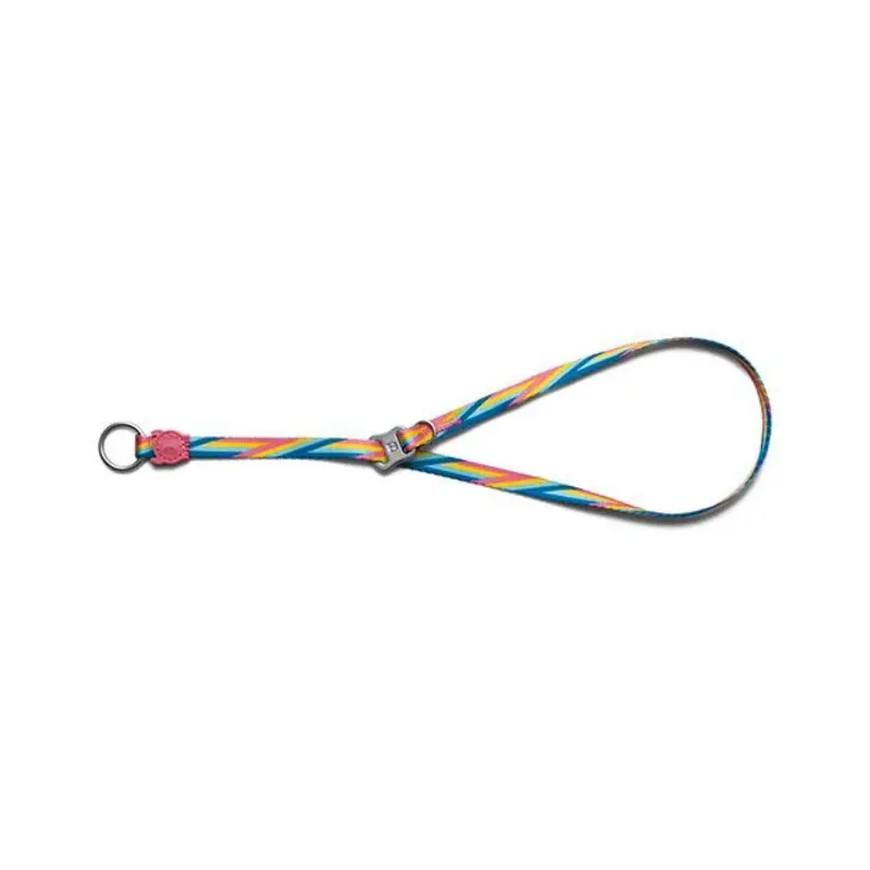 Zee.Dog Bowie Obedience Dog Collar