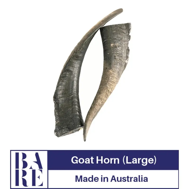 20% OFF: BARE Australian Premium Goat Horn Dog Treats (Large)
