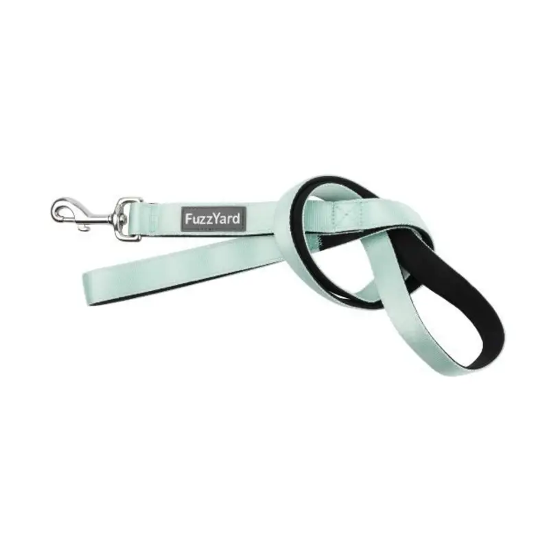 FuzzYard Mint Dog Leash