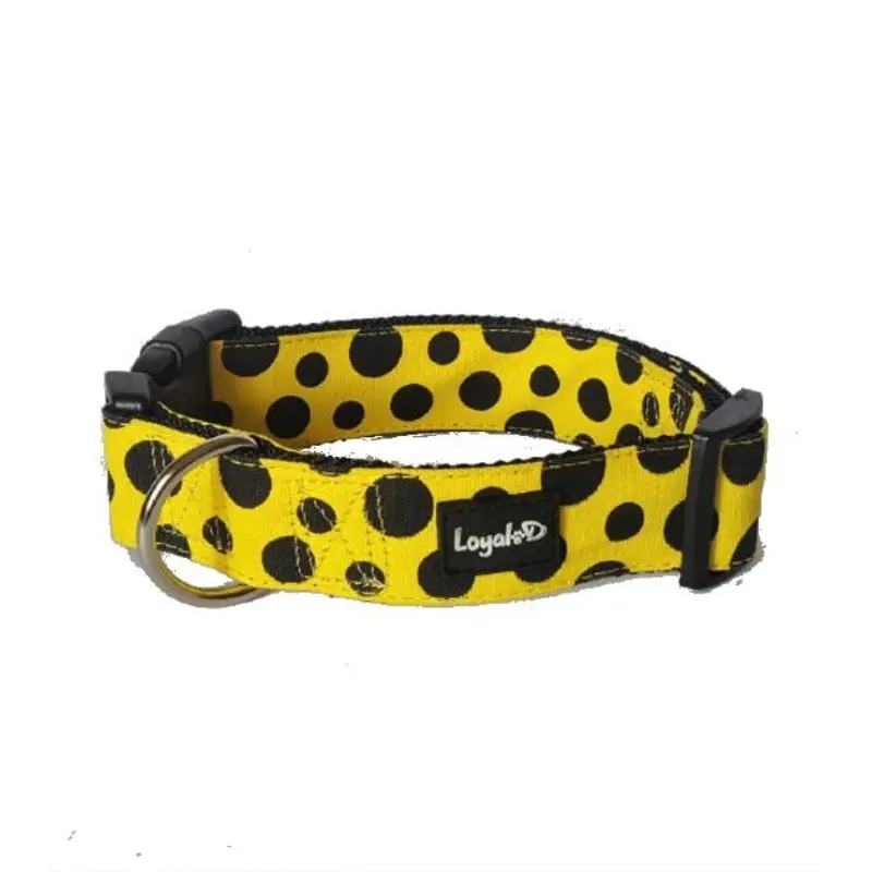 Loyal.D Canvas.D Get Spott.D (Yellow) Dog Collar
