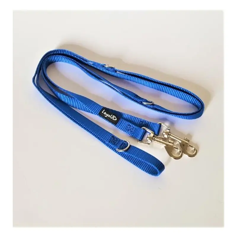 Loyal.D Multi-Purpose.D Blue Dog Leash