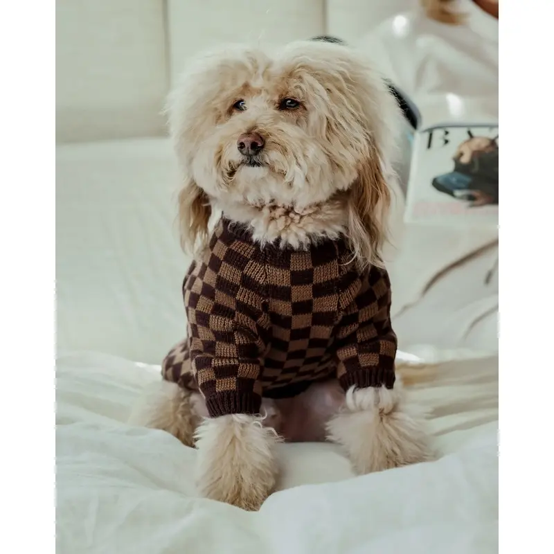 Arlo Brown Check Dog Sweater