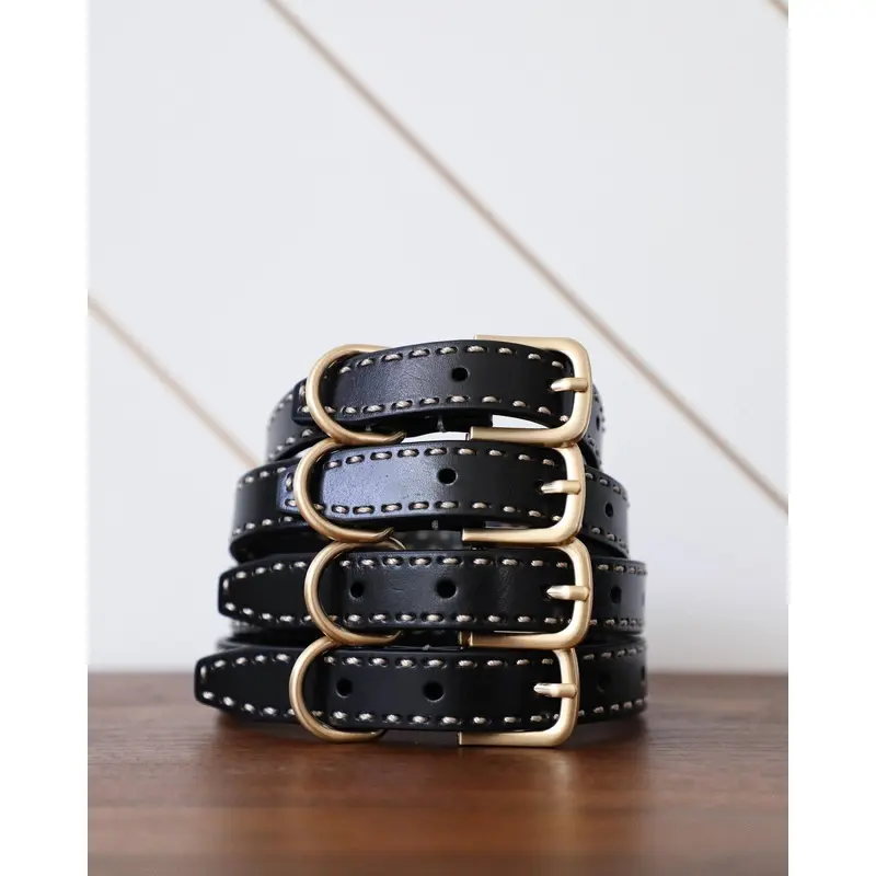 Take the Lead Black Leather Dog Collar