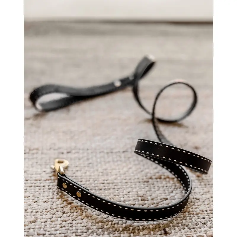 Take the Lead Black Leather Dog Leash