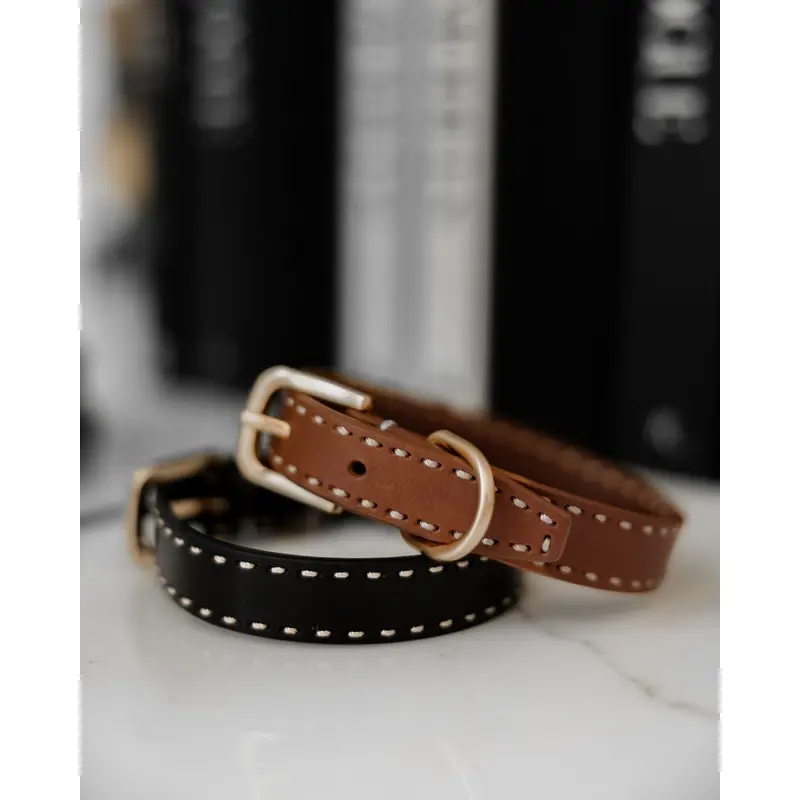 Take the Lead Tan Leather Dog Collar