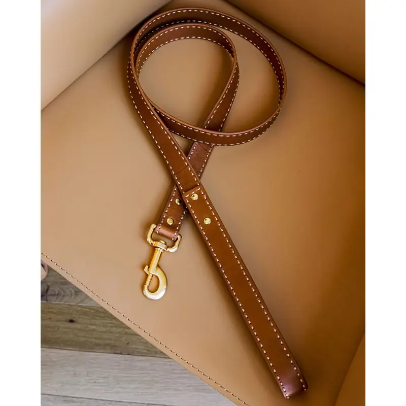 Take the Lead Tan Leather Dog Leash