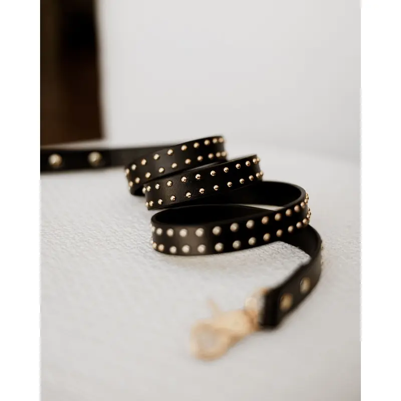 What a Stud Black Leather Dog Leash