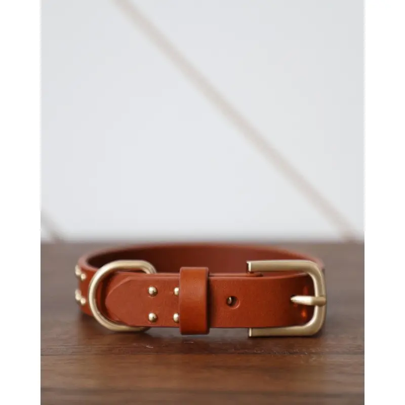 What a Stud Tan Leather Dog Collar