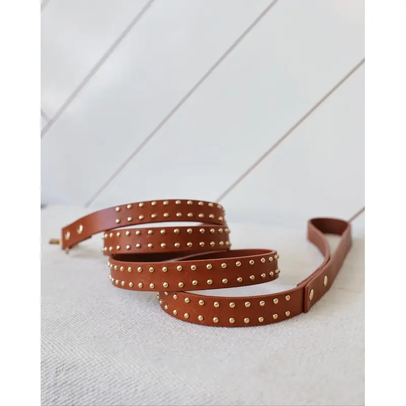 What a Stud Tan Leather Dog Leash