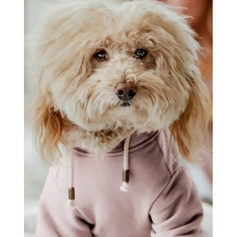 Ziggy Blush Dog Hoodie