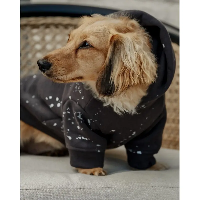 Ziggy Charcoal Paint Splatter Dog Hoodie