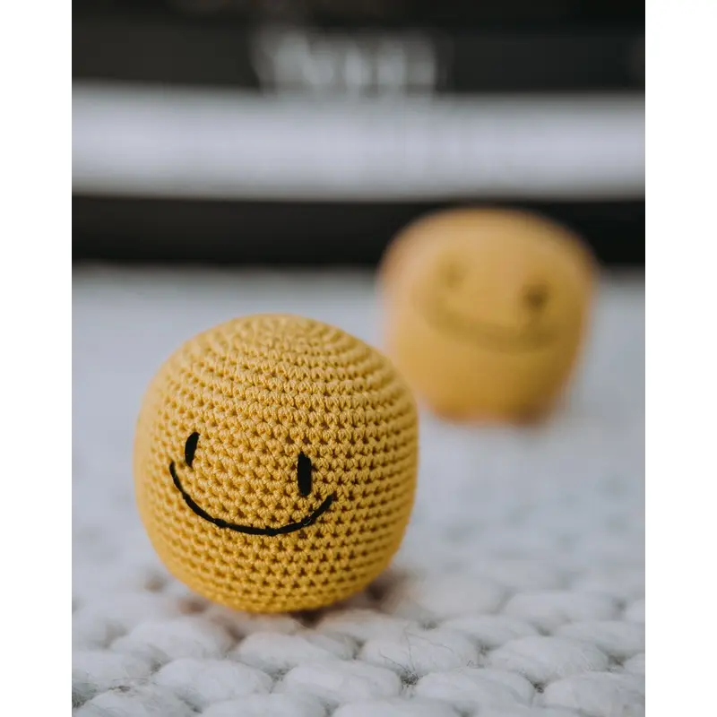 Basic Studio Smiley Face Dog Ball