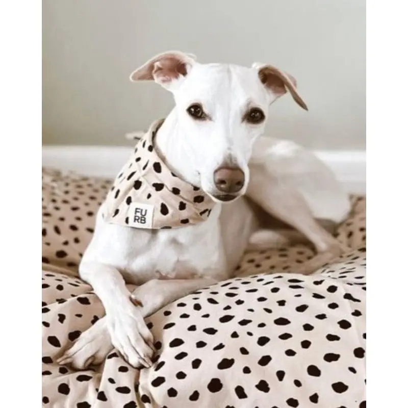 Apollo Dot Print Bandana