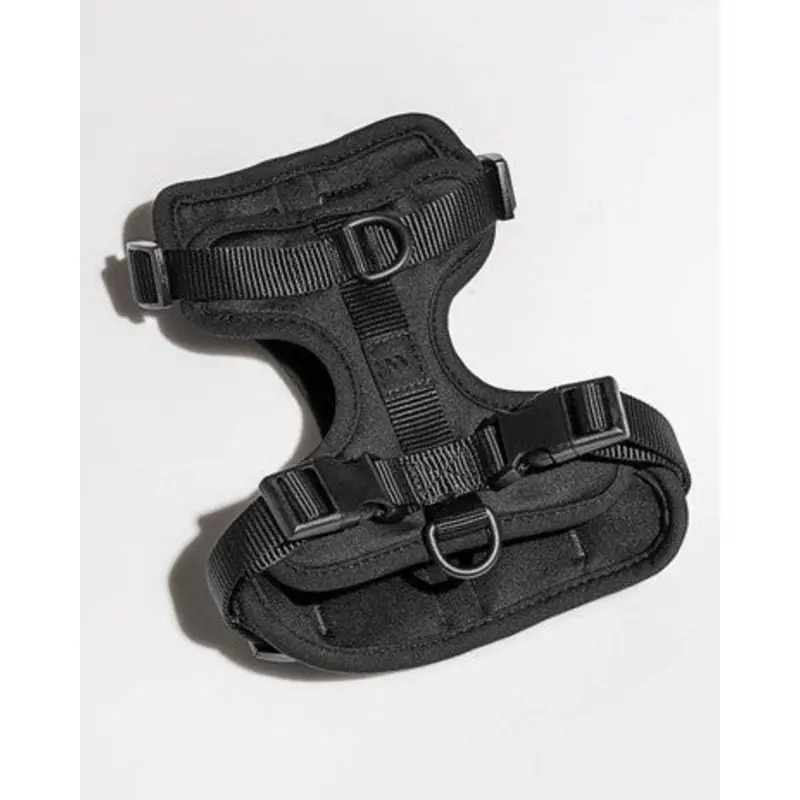 Wild One Black Dog Harness