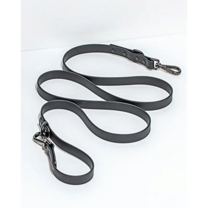 Wild One Black Dog Leash