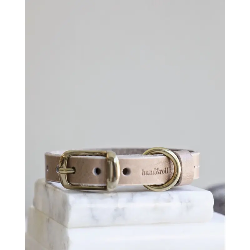 Band & Roll Leather Dog Collar in Latte