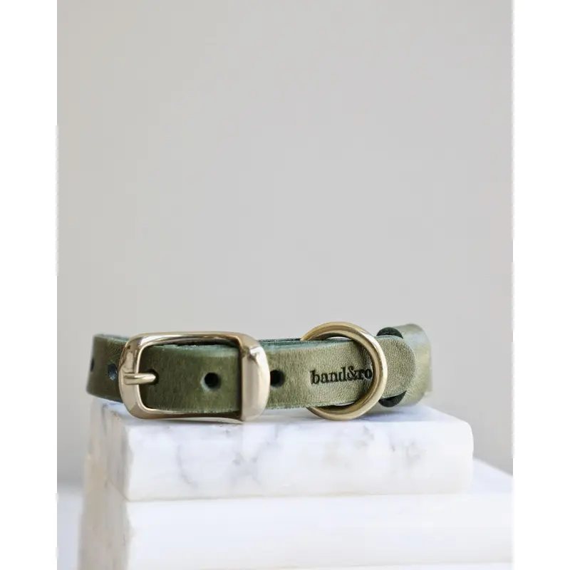 Band & Roll Leather Dog Collar in Moss