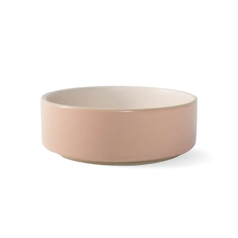Bowled Over Modern Blush Dog Bowl