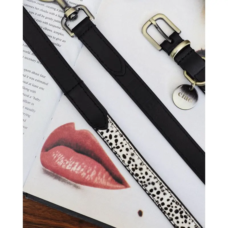 Wylde Black Spotted Dog Bundle
